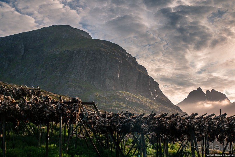 Автостопом через всю Норвегию: Унстад, Рейне и О, Лофотенские острова