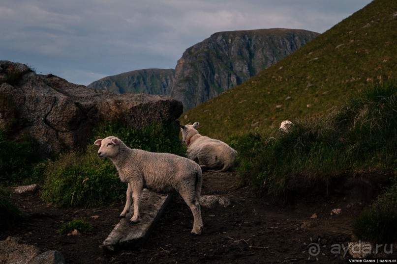 Автостопом через всю Норвегию: Унстад, Рейне и О, Лофотенские острова