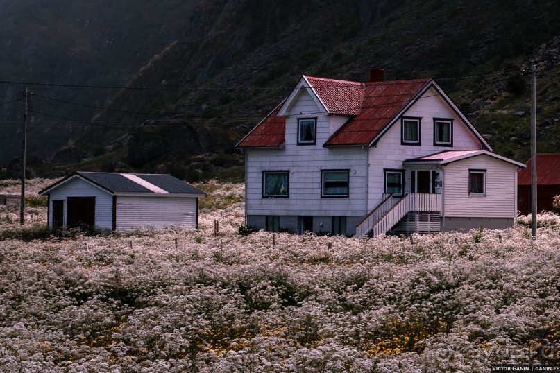 Автостопом через всю Норвегию: Унстад, Рейне и О, Лофотенские острова