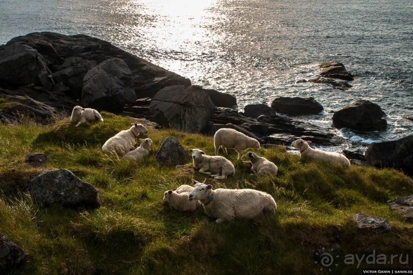 Автостопом через всю Норвегию: Унстад, Рейне и О, Лофотенские острова