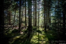 Альбом отзыва "Путешествие через всю Норвегию. Часть 7"