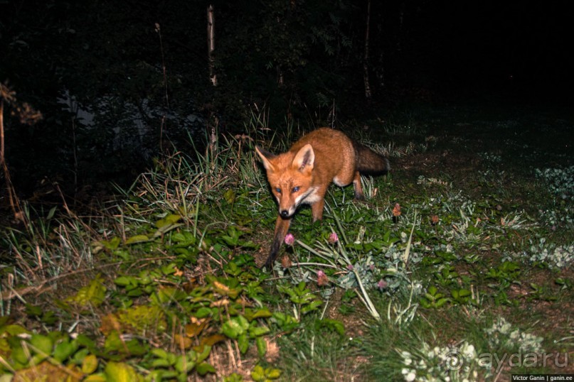 Путешествие через всю Норвегию. Часть 7
