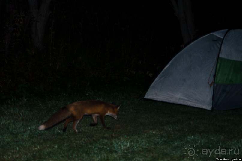 Путешествие через всю Норвегию. Часть 7