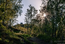 Автостопом через всю Норвегию: Лофотенские острова, часть 1