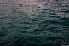 Автостопом через всю Норвегию: Лофотенские острова, часть 1