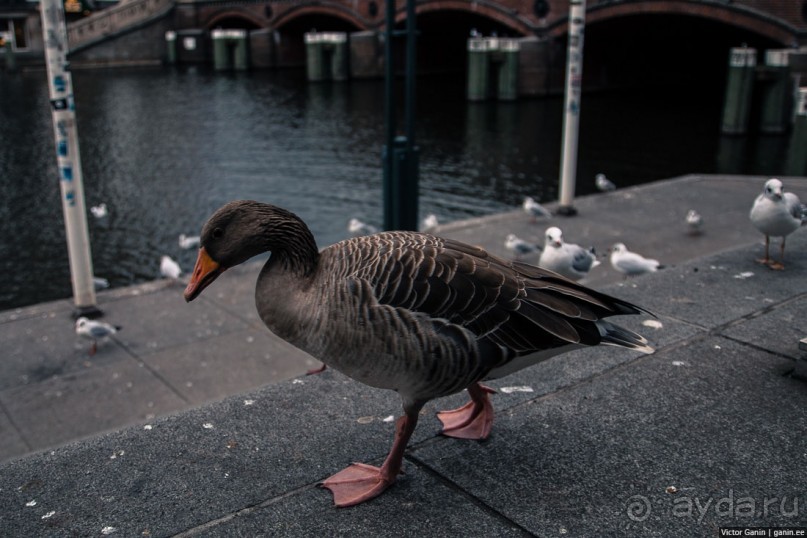 Автостопом через Европу. Гамбург, Германия