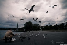 Автостопом через Европу. Гамбург, Германия