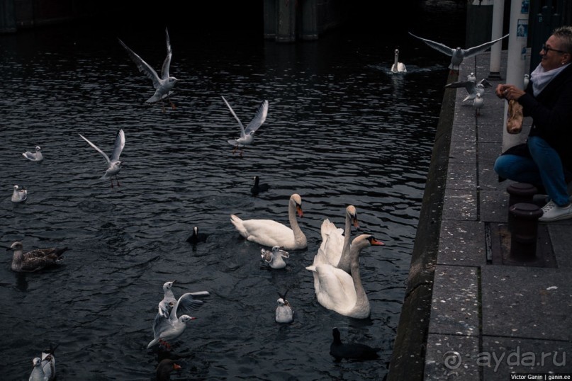 Автостопом через Европу. Гамбург, Германия