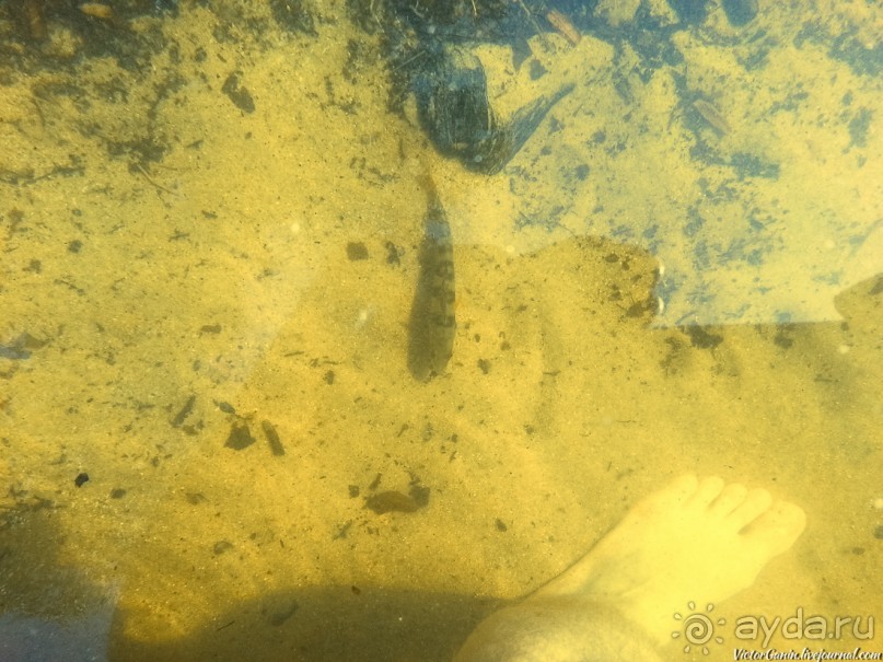 Альбом отзыва "Пешком через всю Эстонию. Походная тропа Оанду – Икла. Часть 1."