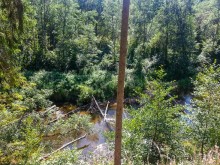 Пешком через всю Эстонию. Походная тропа Оанду – Икла. Часть 1.