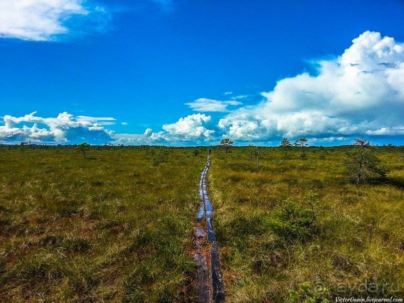 Пешком через всю Эстонию. Походная тропа Оанду – Икла. Часть 1.