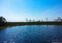 Альбом отзыва "Пешком через всю Эстонию. Походная тропа Оанду – Икла. Часть 1."