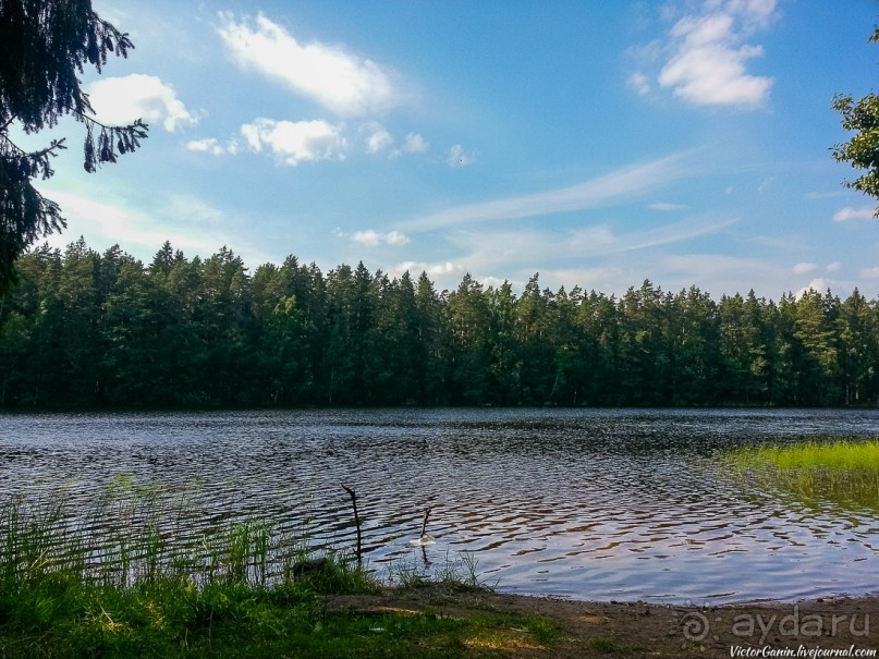 Альбом отзыва "Пешком через всю Эстонию. Походная тропа Оанду – Икла. Часть 1."