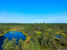 Альбом отзыва "Пешком через всю Эстонию. Походная тропа Оанду – Икла. Часть 1."