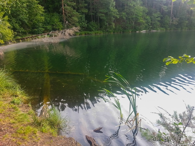 Альбом отзыва "Пешком через всю Эстонию. Походная тропа Оанду – Икла. Часть 1."