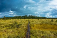 Пешком через всю Эстонию. Походная тропа Оанду – Икла. Часть 1.
