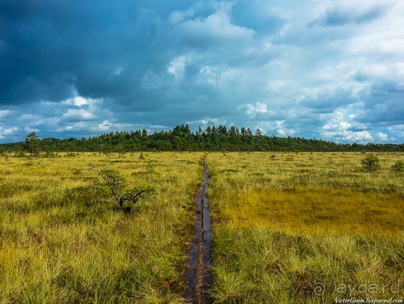 Пешком через всю Эстонию. Походная тропа Оанду – Икла. Часть 1.