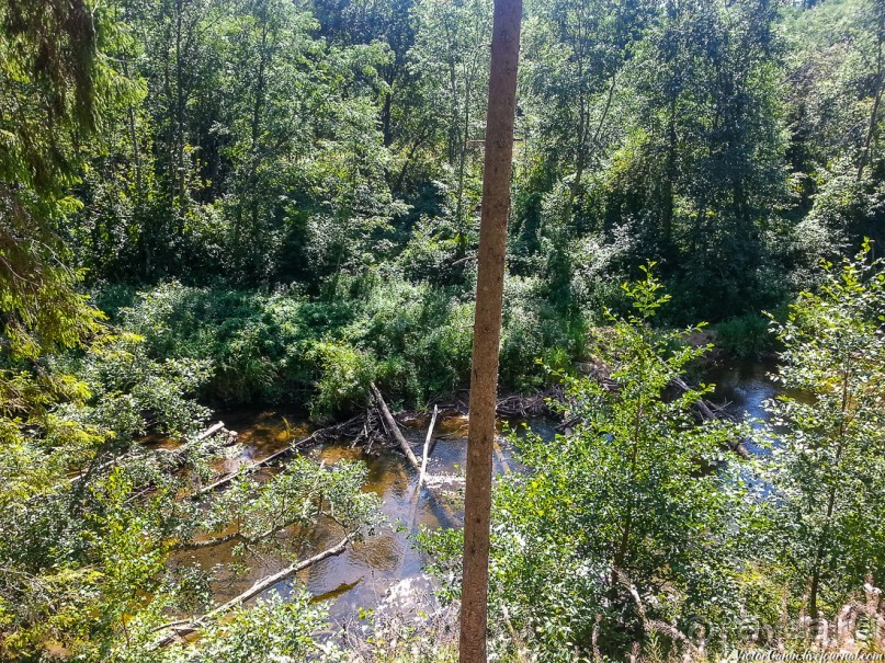 Пешком через всю Эстонию. Походная тропа Оанду – Икла. Часть 1.