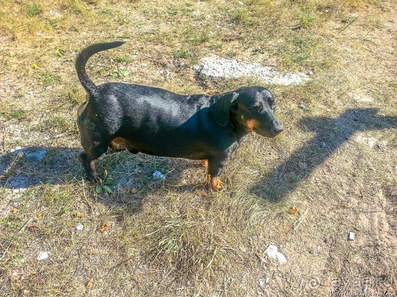 Пешком через всю Эстонию. Походная тропа Оанду – Икла. Часть 1.