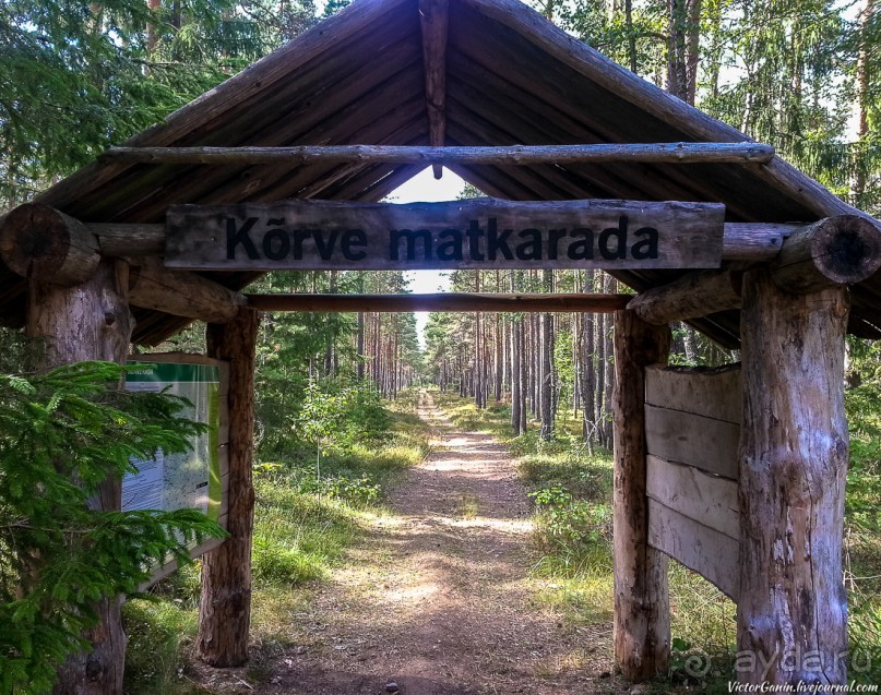 Пешком через всю Эстонию. Походная тропа Оанду – Икла. Часть 1.