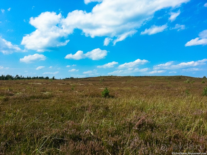 Пешком через всю Эстонию. Походная тропа Оанду – Икла. Часть 1.