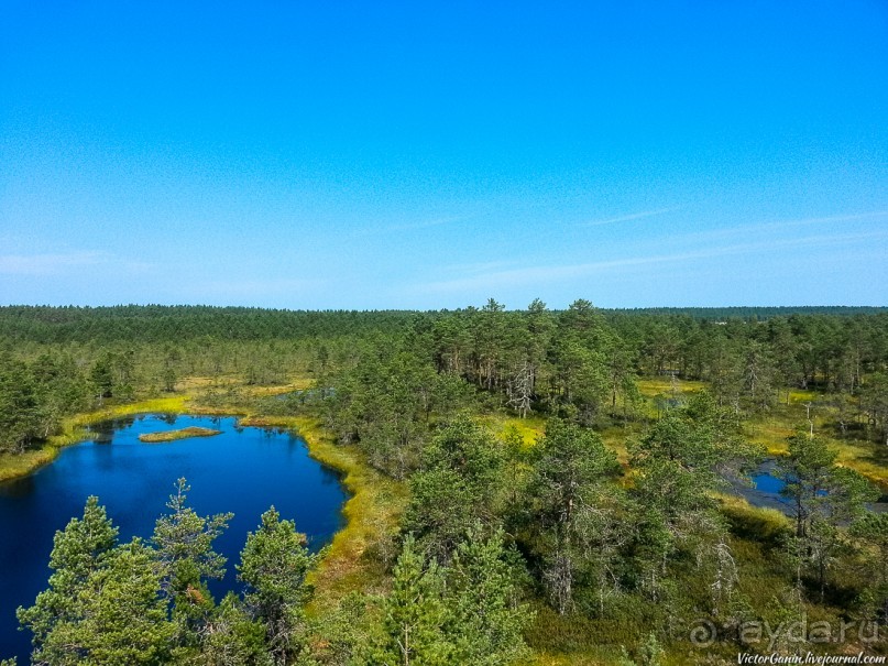 Пешком через всю Эстонию. Походная тропа Оанду – Икла. Часть 1.