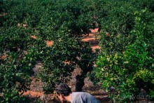 Автостопом по Европе. Где-то в Испании