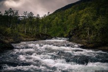 Автостопом через всю Норвегию: Путь на запад и как я заработал первые деньги в путешествии