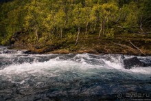 Автостопом через всю Норвегию: Путь на запад и как я заработал первые деньги в путешествии