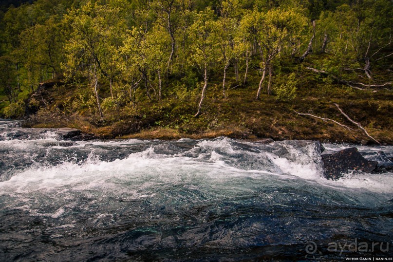 Автостопом через всю Норвегию: Путь на запад и как я заработал первые деньги в путешествии