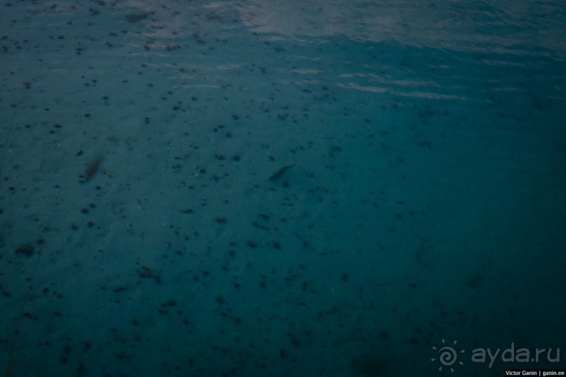 Путешествие через всю Норвегию. Часть 3