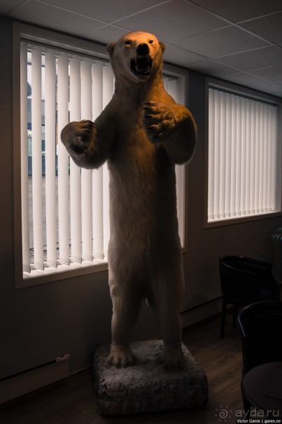 Путешествие через всю Норвегию. Часть 3