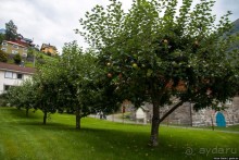 Путешествие через всю Норвегию. Часть 11. Гейрангер-фьорд