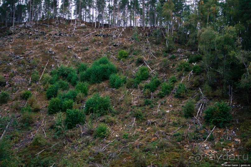 Путешествие через всю Норвегию. Часть 9. Крещение в церкви троллей