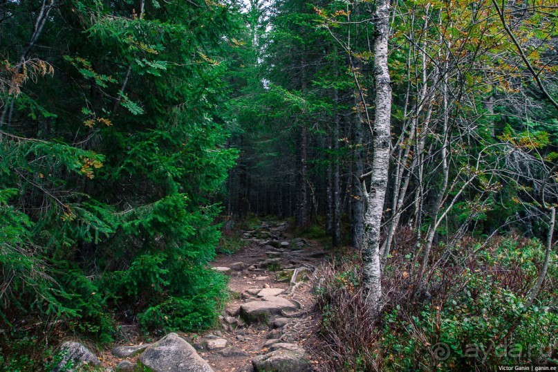 Путешествие через всю Норвегию. Часть 9. Крещение в церкви троллей