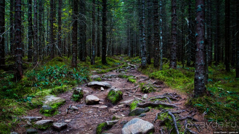 Путешествие через всю Норвегию. Часть 9. Крещение в церкви троллей