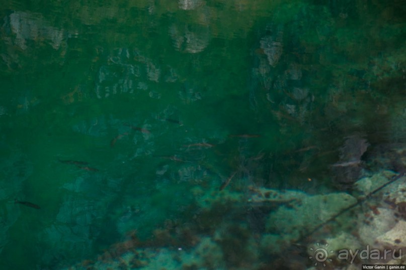 Путешествие через всю Норвегию. Часть 4. Лофотены