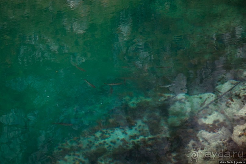 Путешествие через всю Норвегию. Часть 4. Лофотены