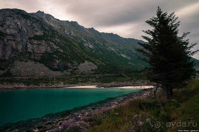 Путешествие через всю Норвегию. Часть 4. Лофотены