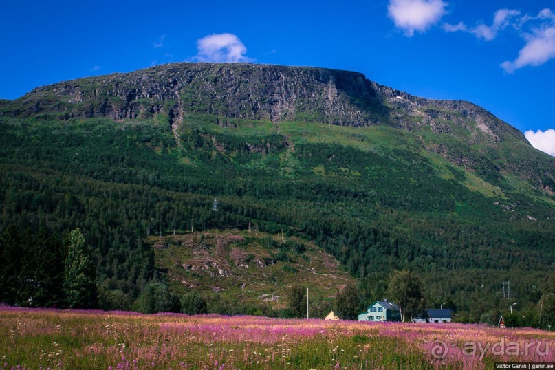 Путешествие через всю Норвегию. Часть 4. Лофотены