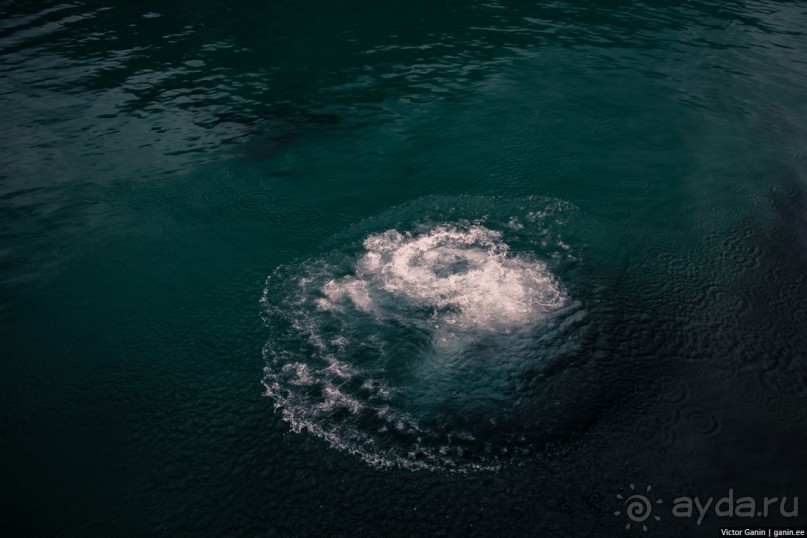 Путешествие через всю Норвегию. Часть 4. Лофотены