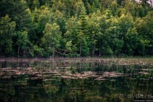 Альбом отзыва "Автостопом через всю Норвегию: походная тропа Фьордрута"