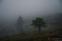 Альбом отзыва "Автостопом через всю Норвегию: походная тропа Фьордрута"