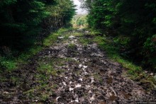 Автостопом через всю Норвегию: походная тропа Фьордрута