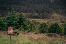 Автостопом через всю Норвегию: походная тропа Фьордрута