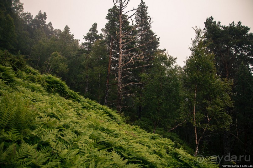 Альбом отзыва "Автостопом через всю Норвегию: походная тропа Фьордрута"