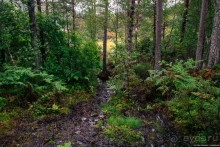 Альбом отзыва "Автостопом через всю Норвегию: походная тропа Фьордрута"