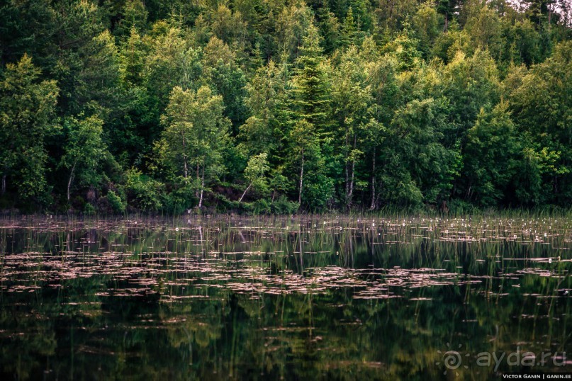 Автостопом через всю Норвегию: походная тропа Фьордрута