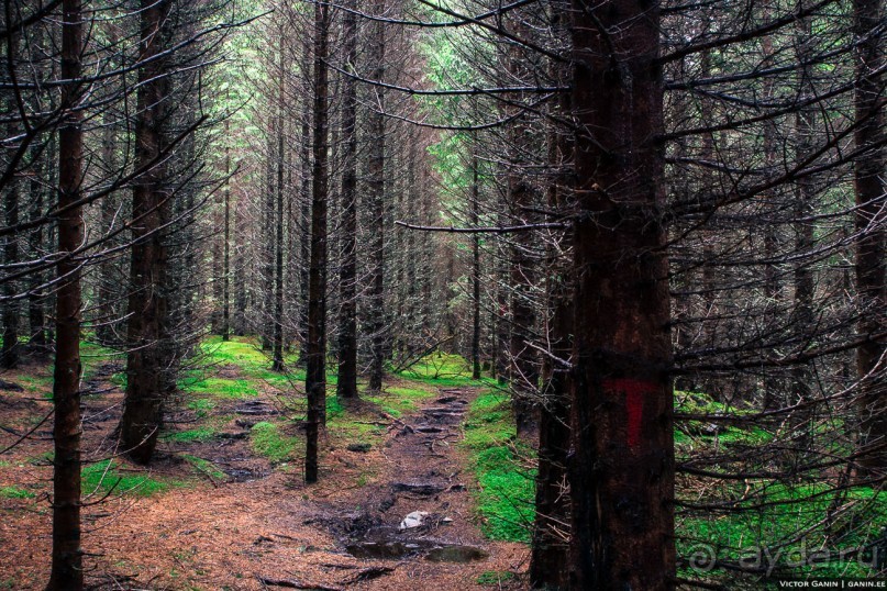 Автостопом через всю Норвегию: походная тропа Фьордрута