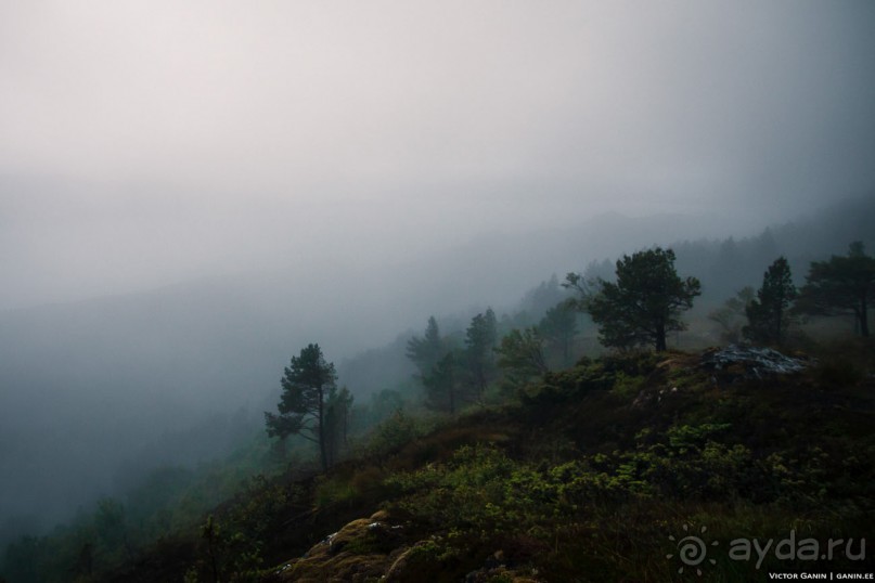 Автостопом через всю Норвегию: походная тропа Фьордрута